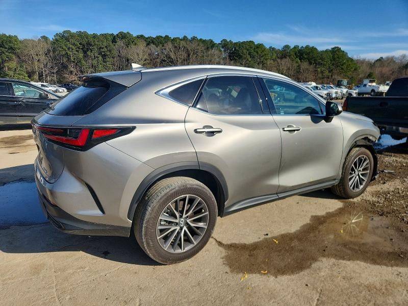 2024 Lexus Nx 250 Premium
