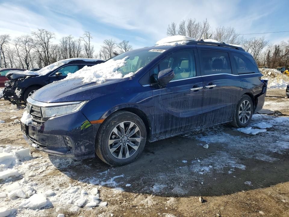 2024 Honda Odyssey exl