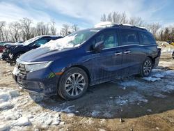 Honda Odyssey exl salvage cars for sale: 2024 Honda Odyssey exl