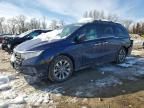 2024 Honda Odyssey exl