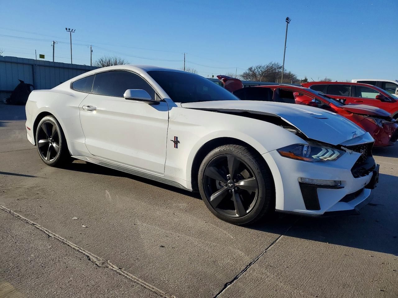 2019 Ford Mustang