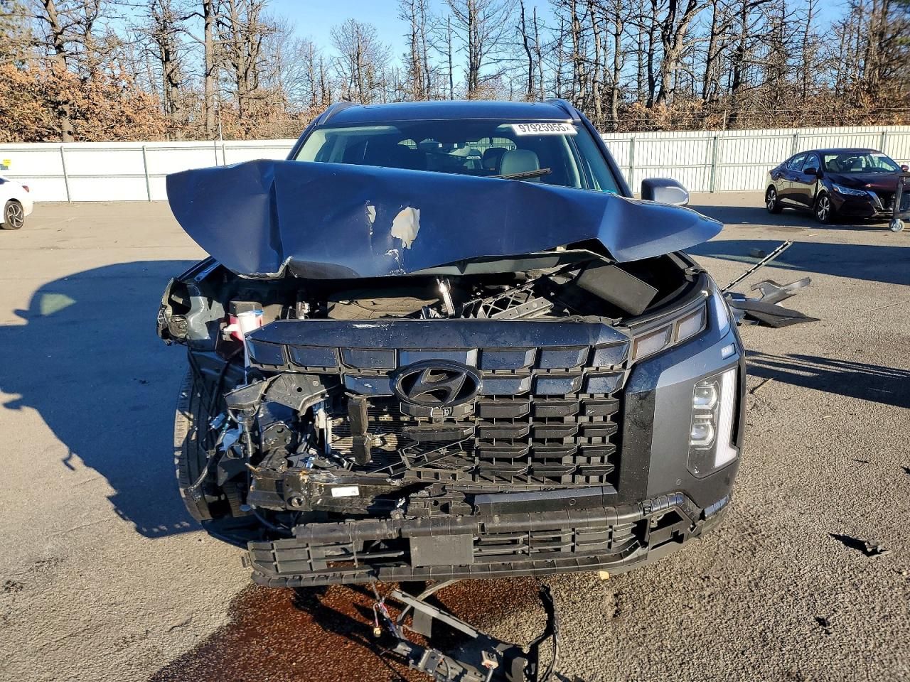 2025 Hyundai Palisade sel Premium