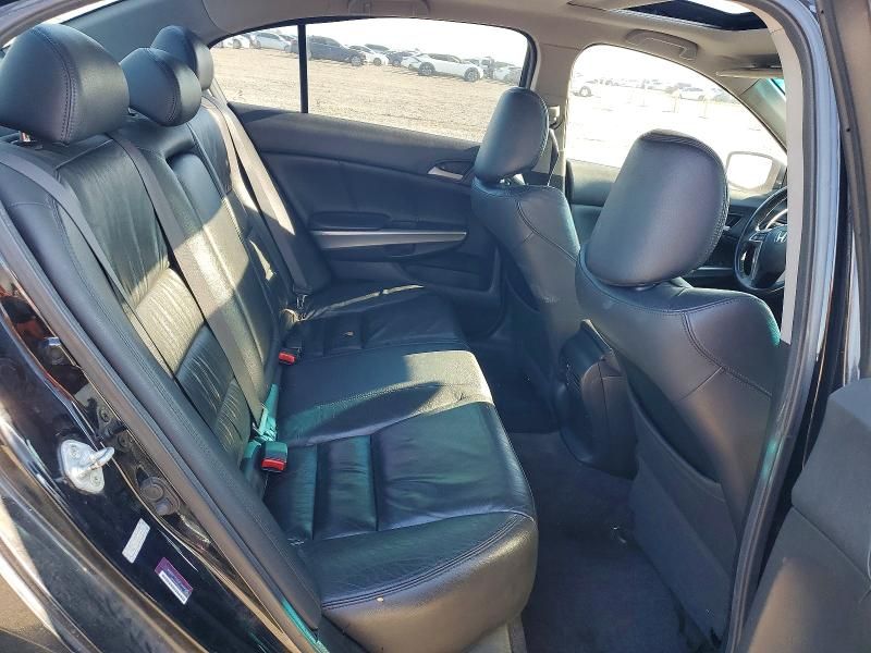 2010 Honda Accord exl