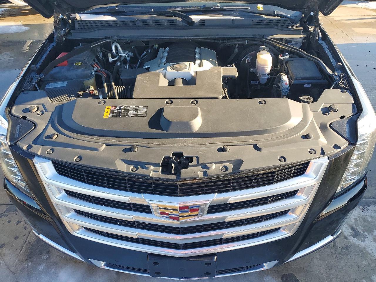 2019 Cadillac Escalade esv Luxury