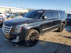 2019 Cadillac Escalade esv Platinum