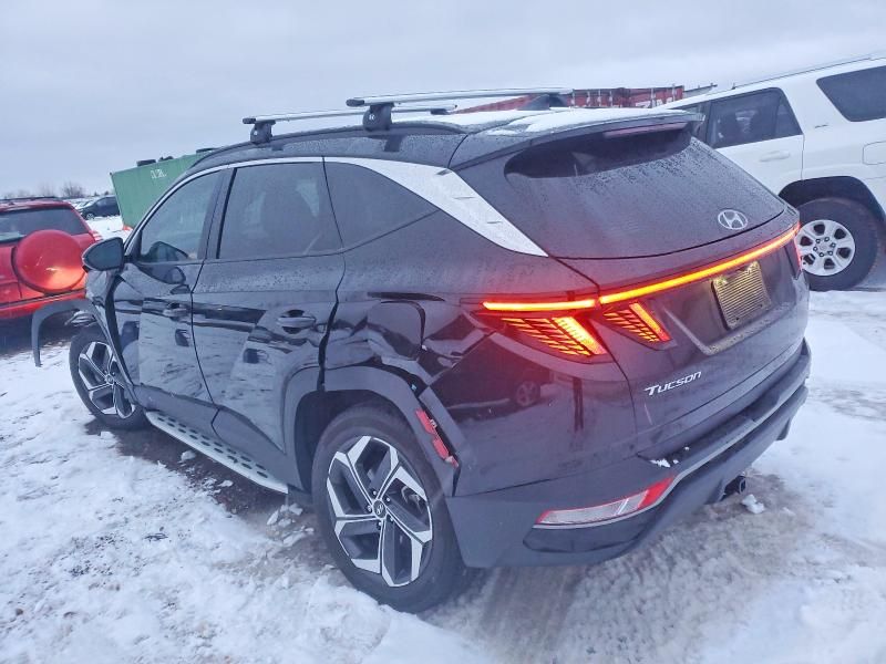 2023 Hyundai Tucson sel