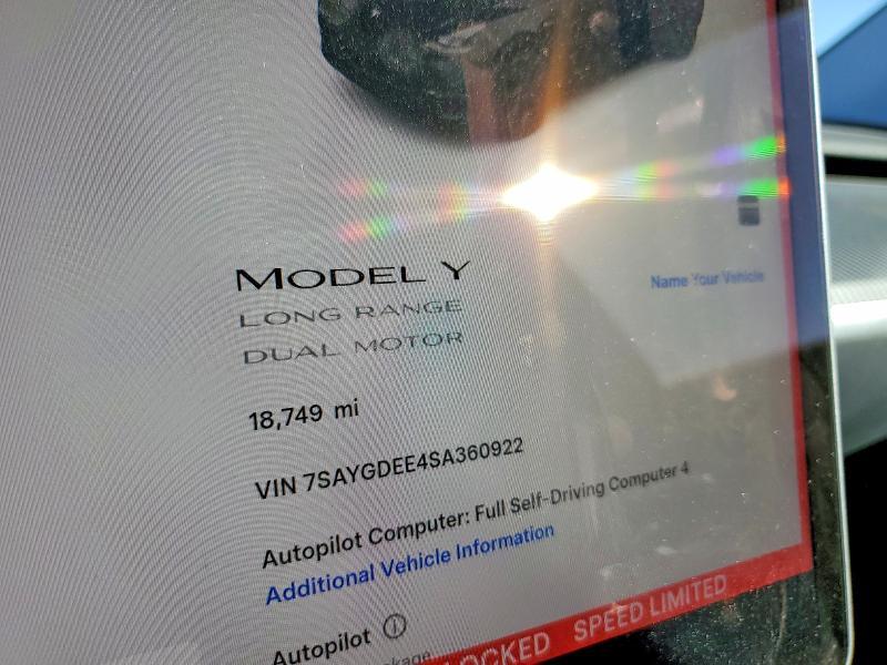2025 Tesla Model y