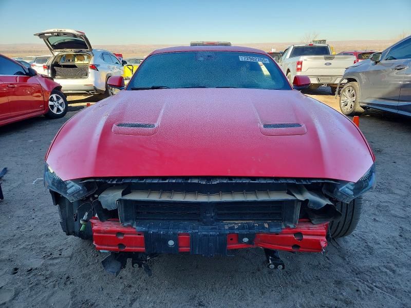 2021 Ford Mustang gt