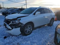 Lexus Vehiculos salvage en venta: 2014 Lexus Rx 350 Base