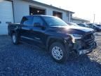 2024 Toyota Tundra Crewmax sr