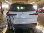 2026 Honda Cr-v exl