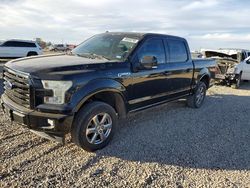 2017 Ford F150 Supercrew for sale in Amarillo, TX