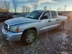 2005 Dodge Dakota Quad Laramie