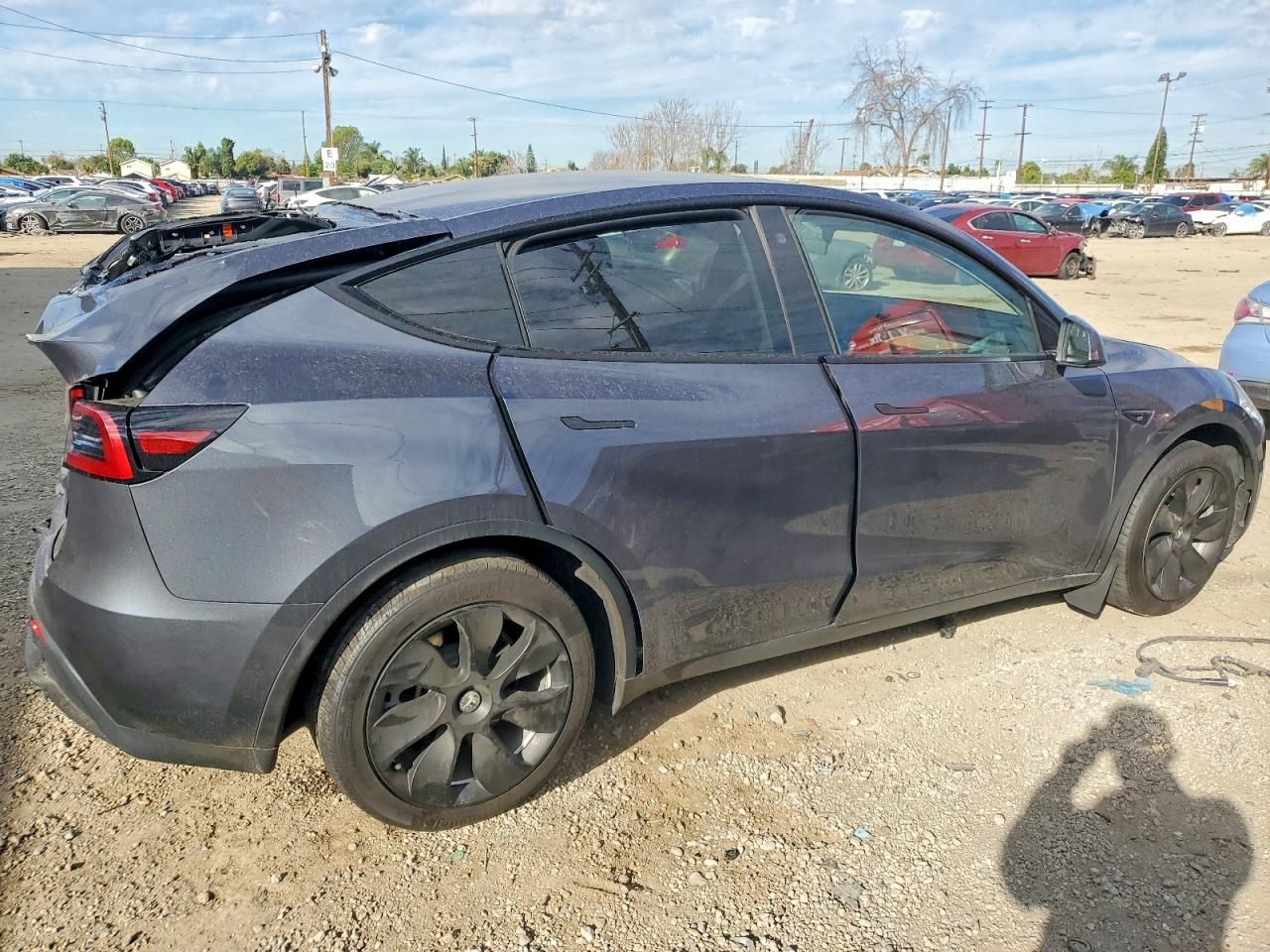2023 Tesla Model y