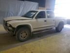 2004 Dodge Dakota Quad slt