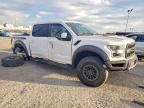 2019 Ford F150 Raptor