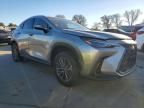 2025 Lexus Nx 350h Base