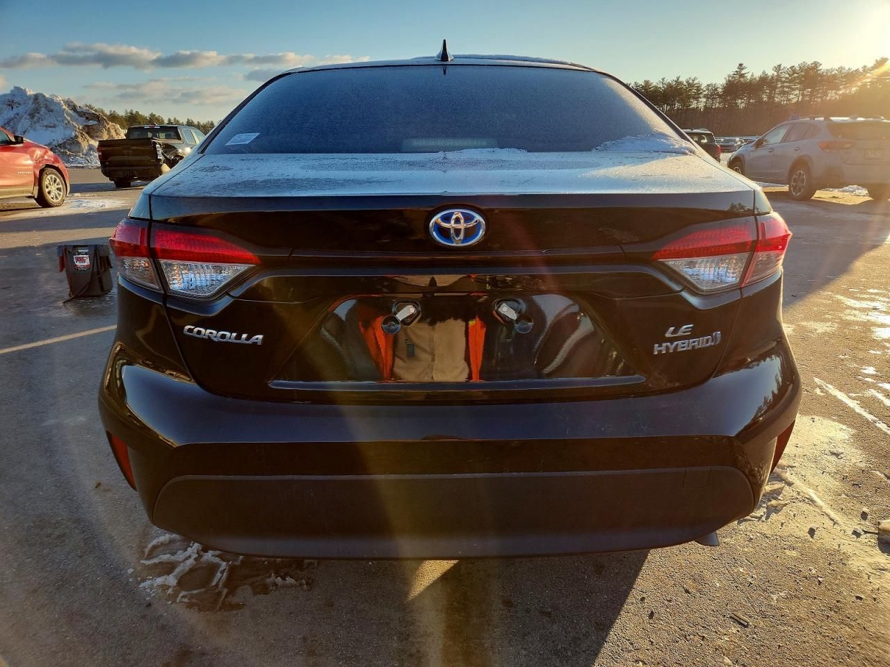 2023 Toyota Corolla le