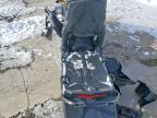 2024 Skidoo 2024 SKI-DOO MXZ Snowmobile