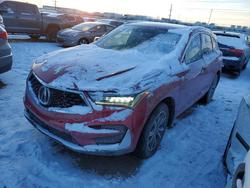 2019 Acura Rdx Technology en venta en Elgin, IL