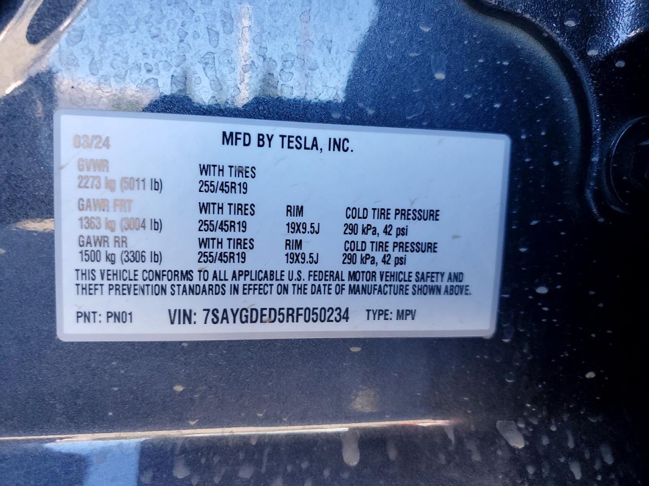 2024 Tesla Model y