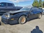 1987 Pontiac Firebird Trans am