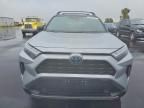 2024 Toyota Rav4 xse