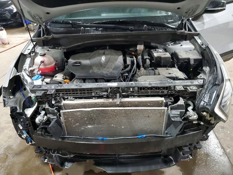 2024 KIA Sportage x Line