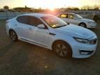 2013 KIA Optima Hybrid
