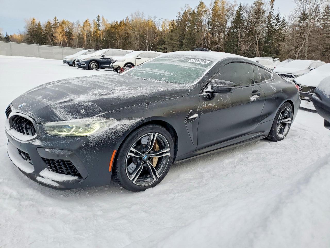 2020 BMW M8