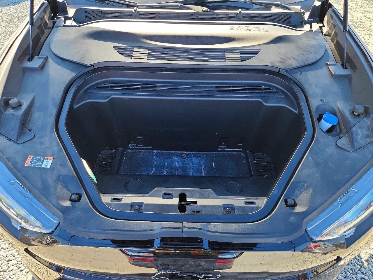 2022 Ford Mustang Mach-e gt