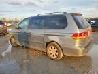 2002 Honda Odyssey exl
