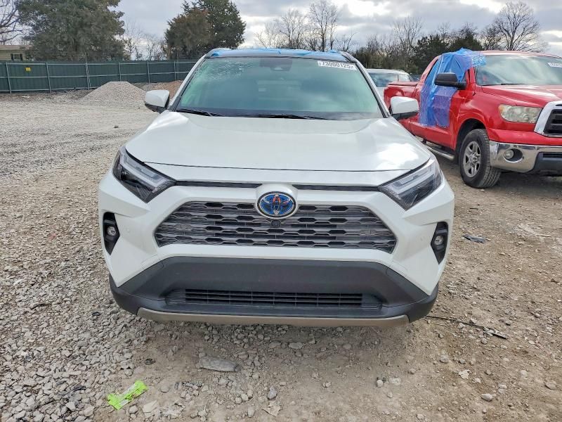 2024 Toyota Rav4 Limited