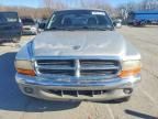 2001 Dodge Dakota