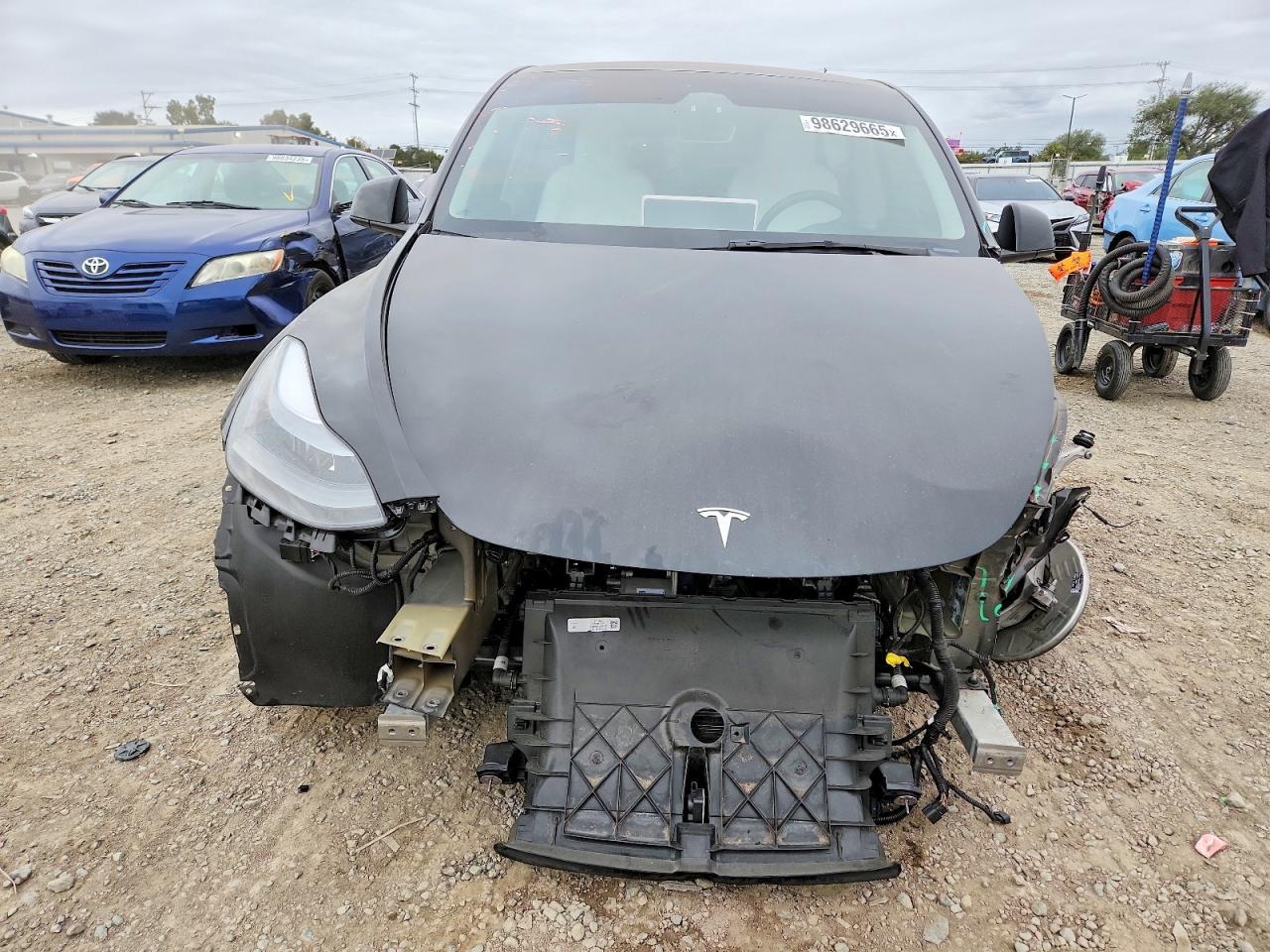 2024 Tesla Model y