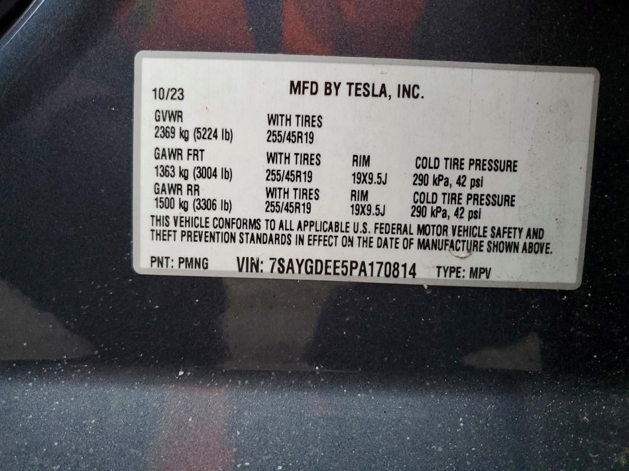 2023 Tesla Model y