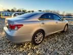 2011 Lexus Es 350