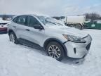 2020 Ford Escape s