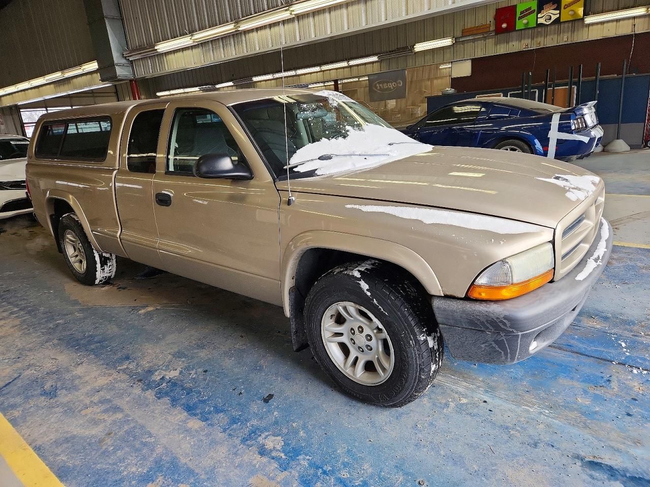 2003 Dodge Dakota sxt