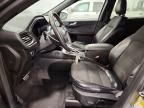 2024 Ford Escape st Line