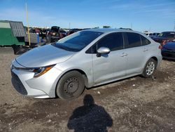 2023 Toyota Corolla le for sale in Jacksonville, FL