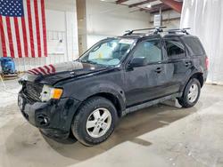 2010 Ford Escape xlt for sale in Leroy, NY