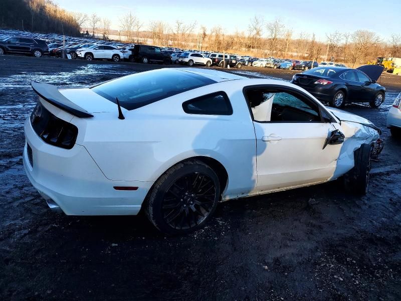 2013 Ford Mustang