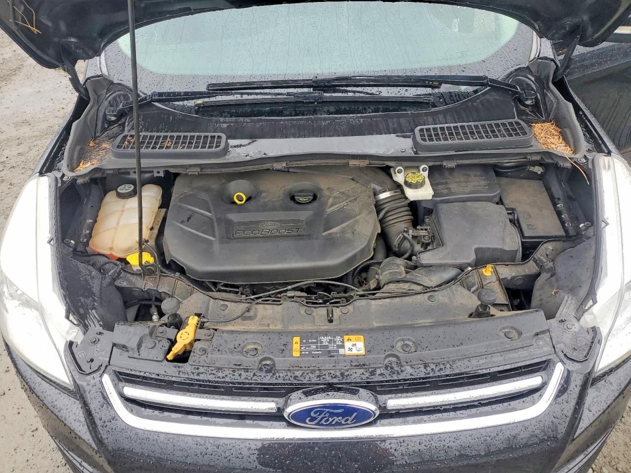 2013 Ford Escape sel