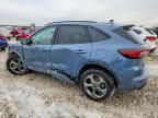 2024 Ford Escape st Line