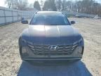 2024 Hyundai Tucson sel Convenience