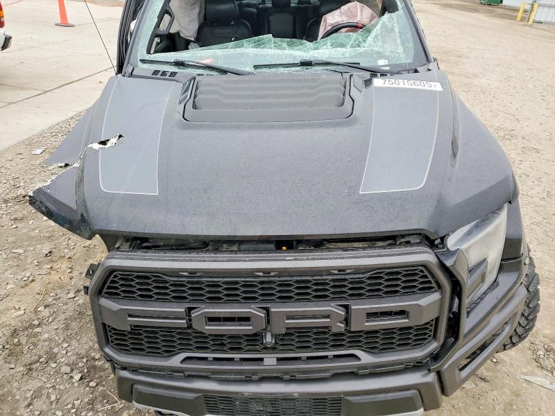 2017 Ford F150 Raptor