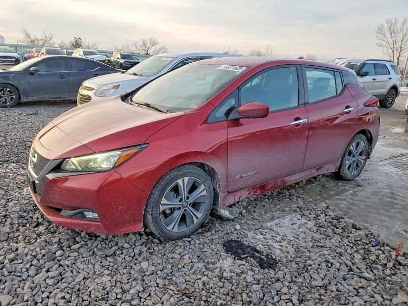 2019 Niss Leaf sv
