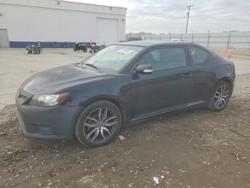 Scion salvage cars for sale: 2011 Scion TC