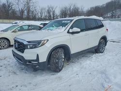 Honda salvage cars for sale: 2023 Honda Passport exl